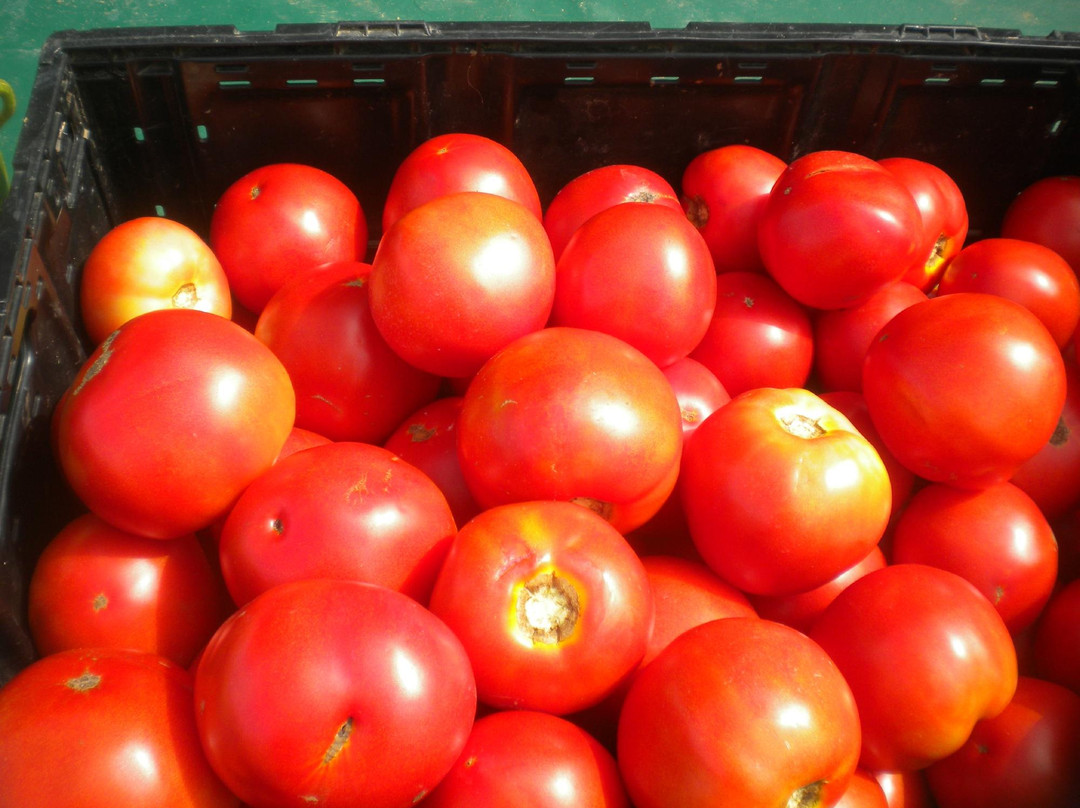 Midtown Farmers' Market景点图片