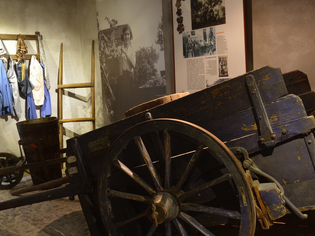 Diffused Museum of Wine