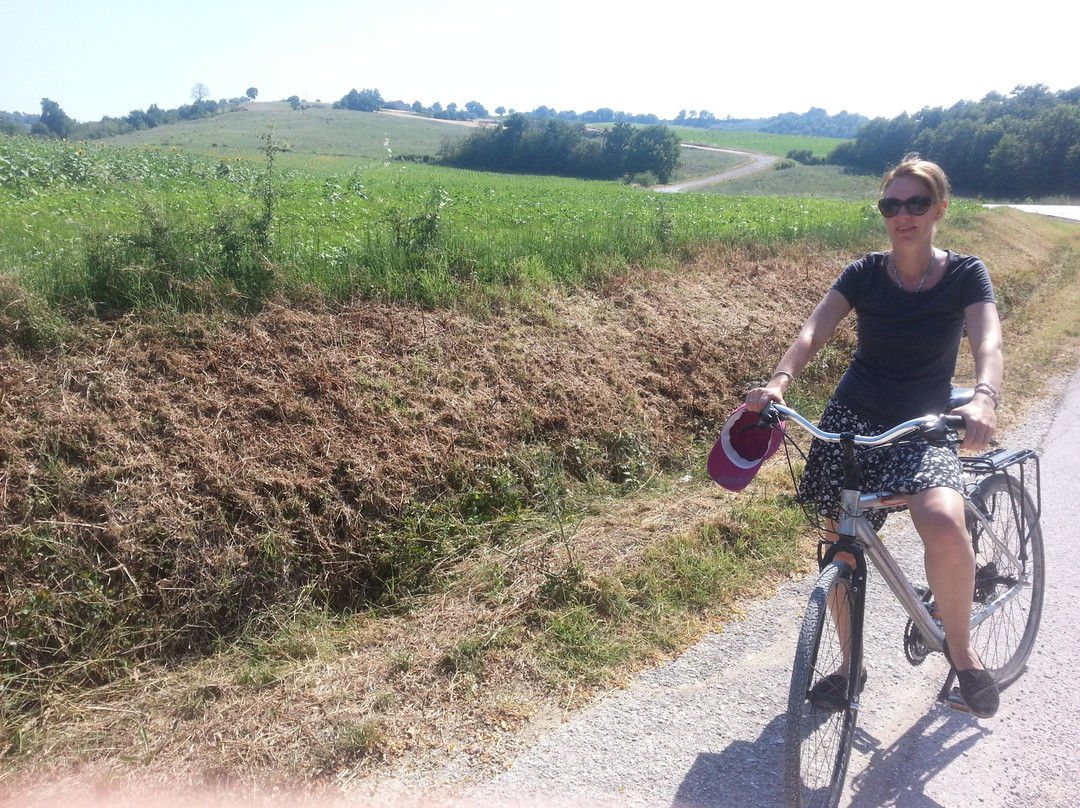 Umbria by Bike景点图片
