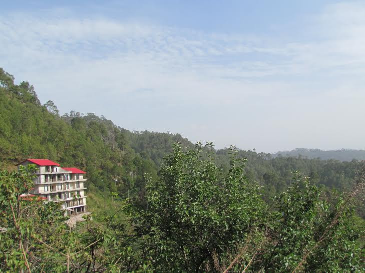 Dharampur酒店住宿-Whispering Pines Home Stay