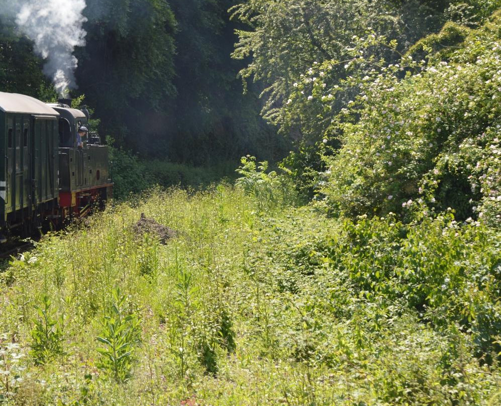 Hespertalbahn Museumseisenbahn Essen-埃森必去景点