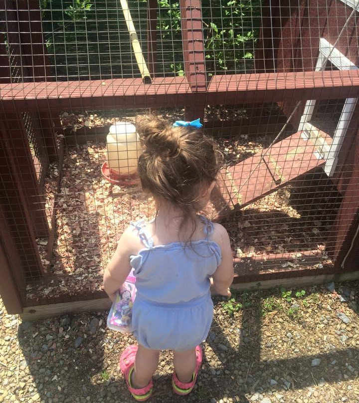 The Farmer's Inn-Sigel必去景点