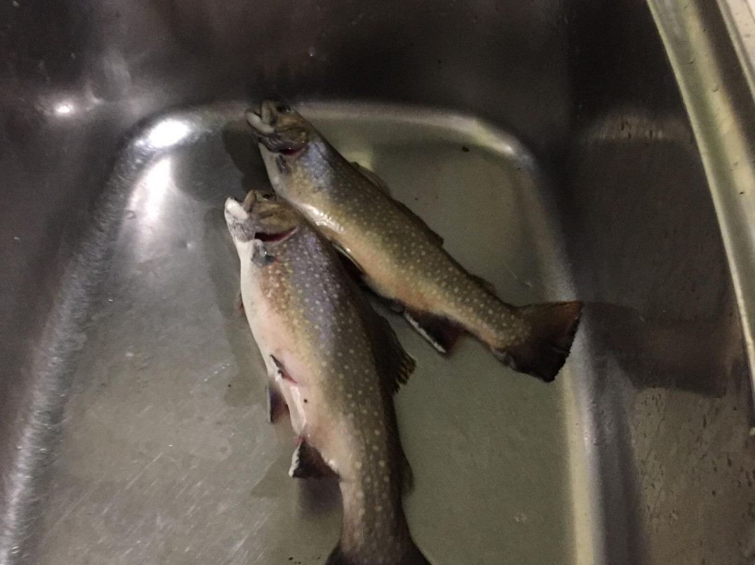 Marysville Trout and Salmon Ponds景点图片