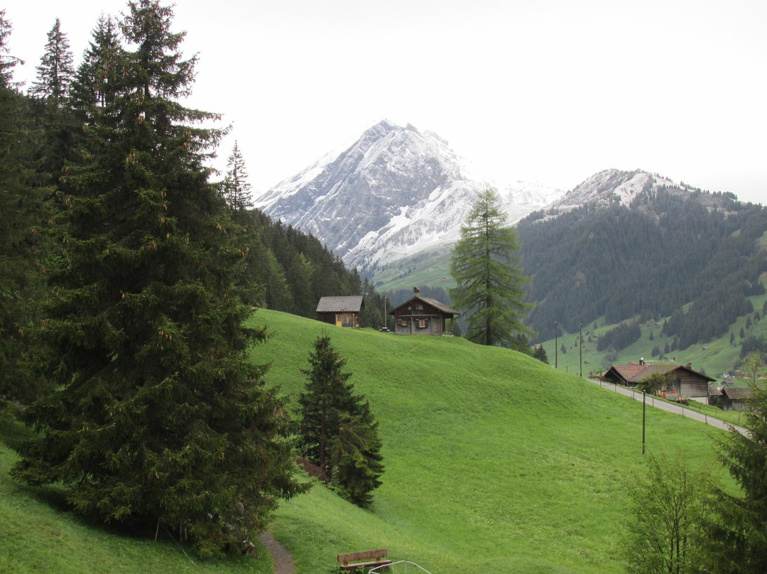 Adelboden Ski Resort-阿德尔博登必去景点