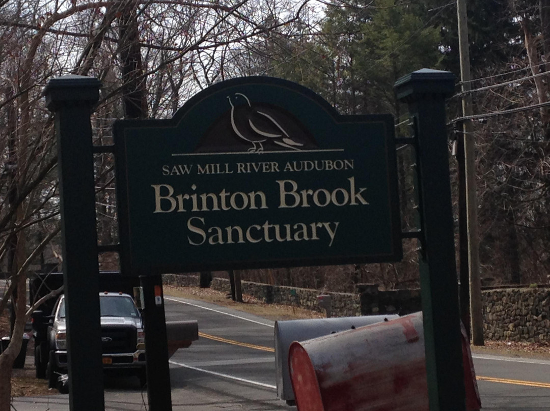 Brinton Brook Sanctuary景点图片