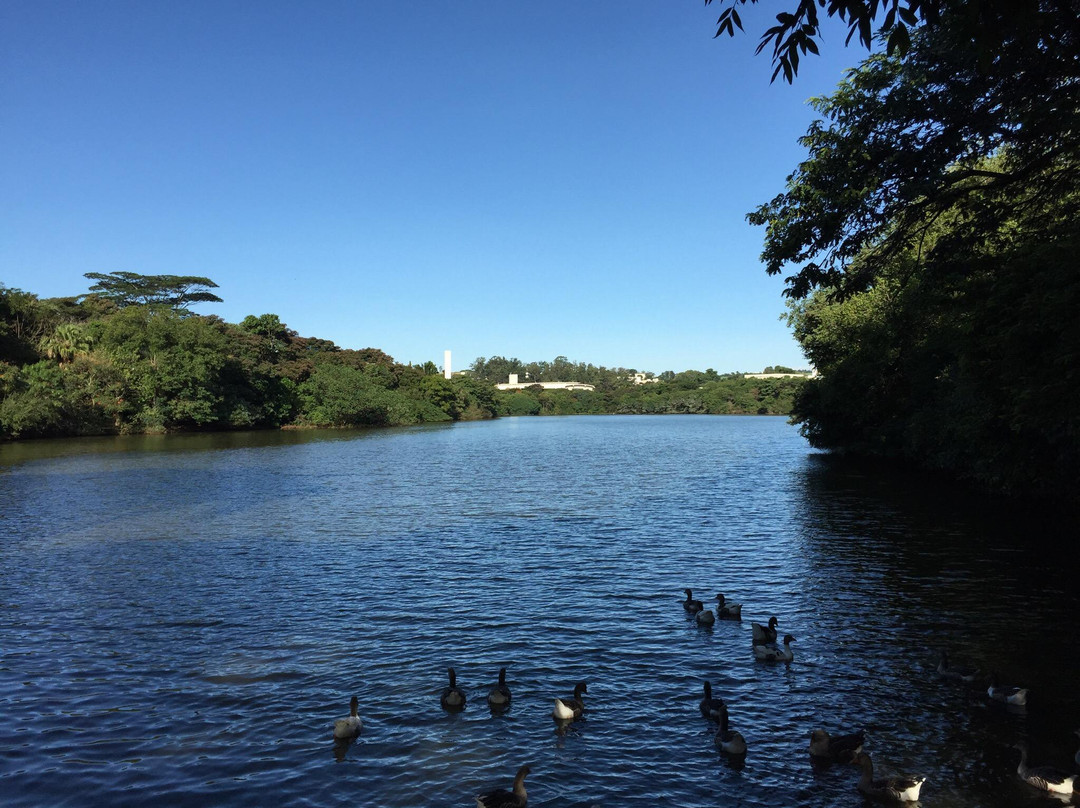 Parque Ecologico Prof. Hermogenes de Freitas-坎皮纳斯必去景点