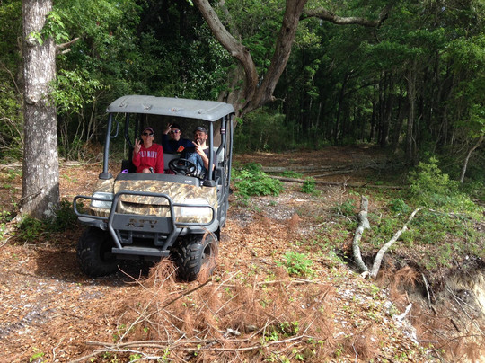 Plantation Island Tours-美特尔海滩必去景点