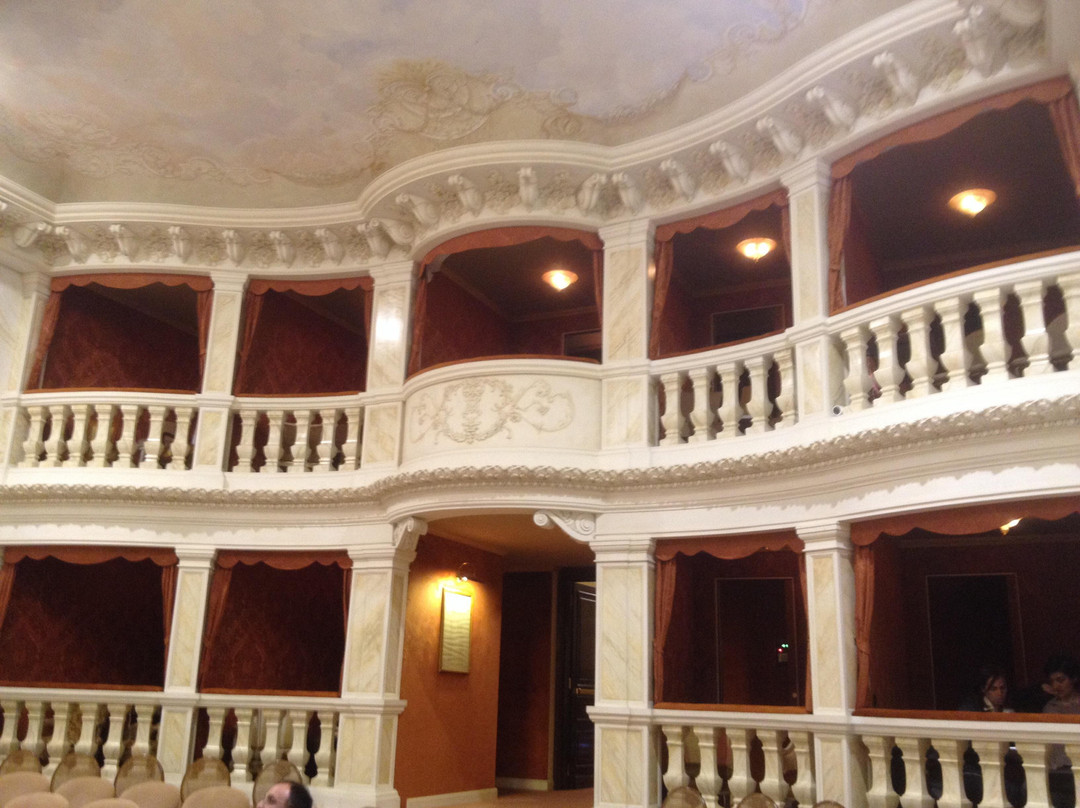 Teatro Antonio Belloni景点图片