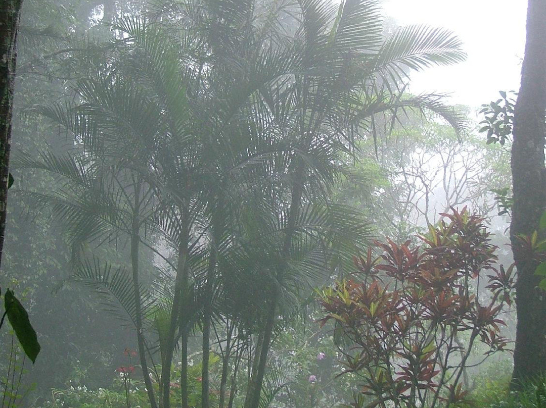 Botanical Garden景点图片