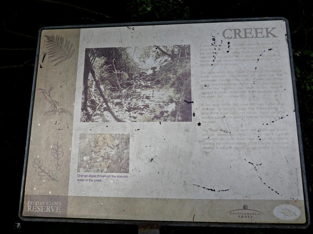 Fred Hollows Reserve-兰德威克必去景点