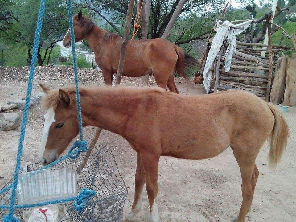 Los Trancos Open Space Preserve-帕罗奥多必去景点