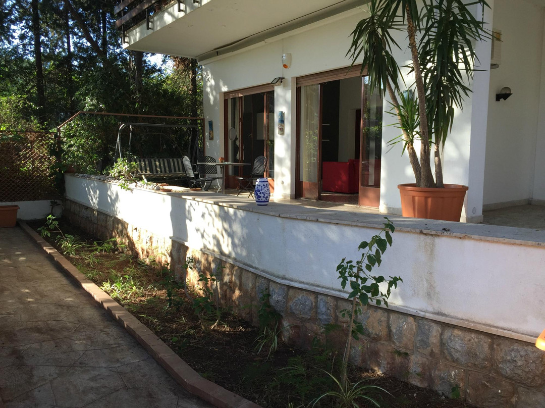 Alimena酒店住宿-Mondello Travel