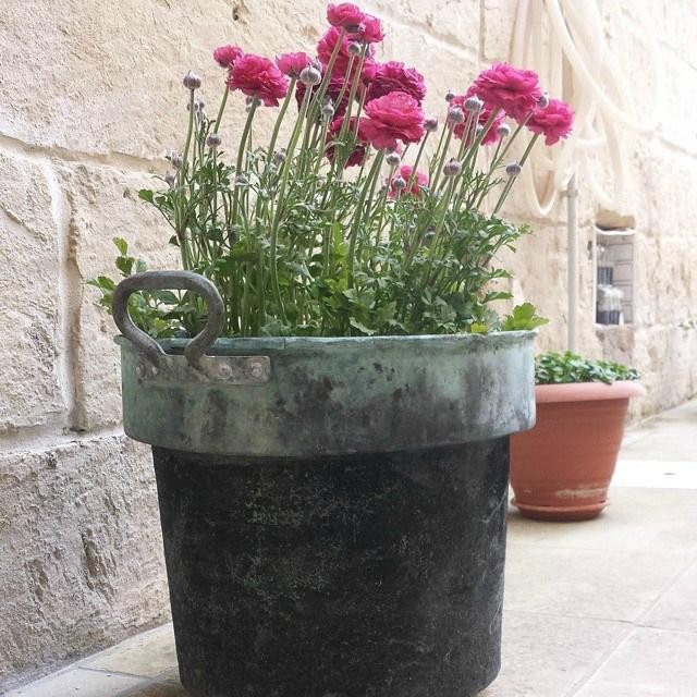 Lizzanello酒店住宿-B&B La Casetta