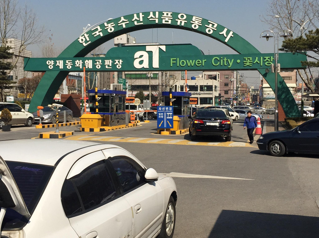 Yangjae Flower Market Center-首尔必去景点