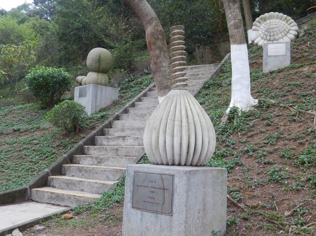 Foraminifera Sculpture Park-中山市必去景点