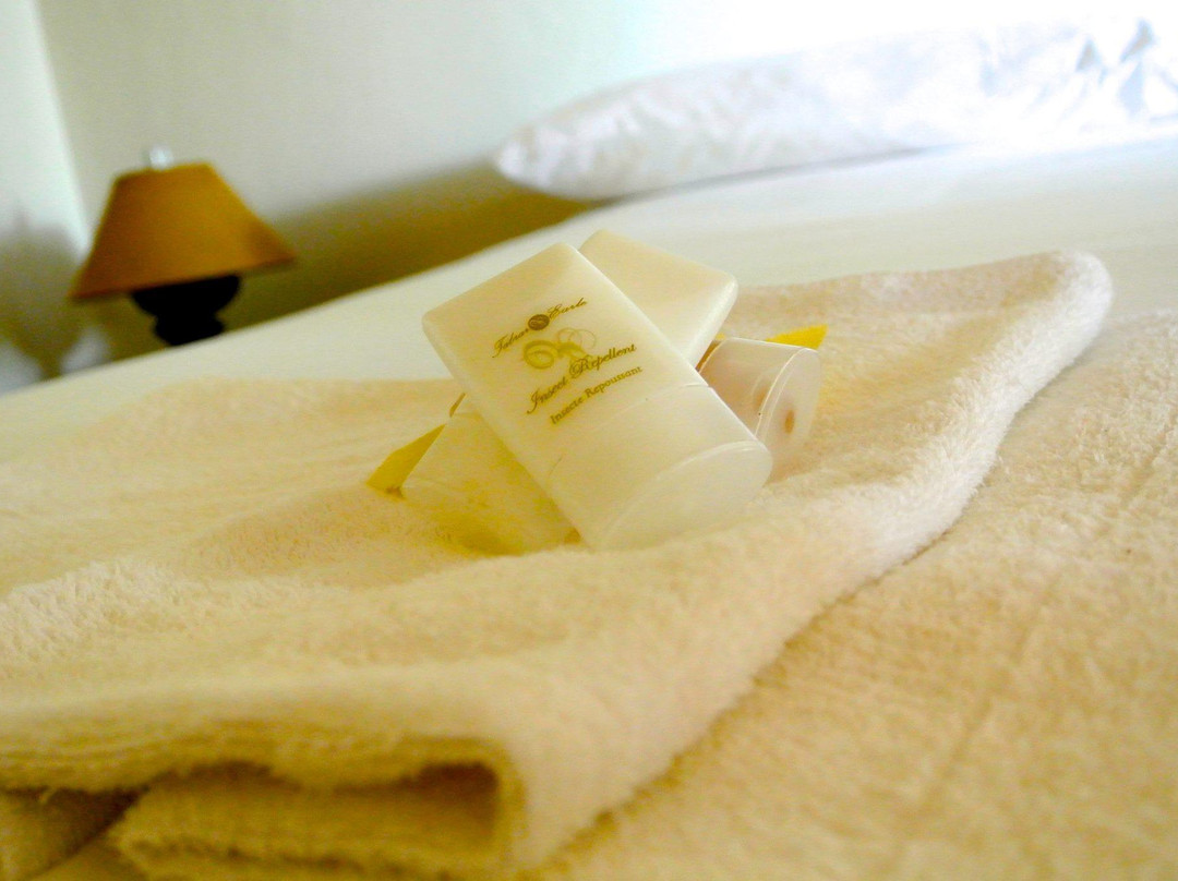 Cotton Country Inn主图