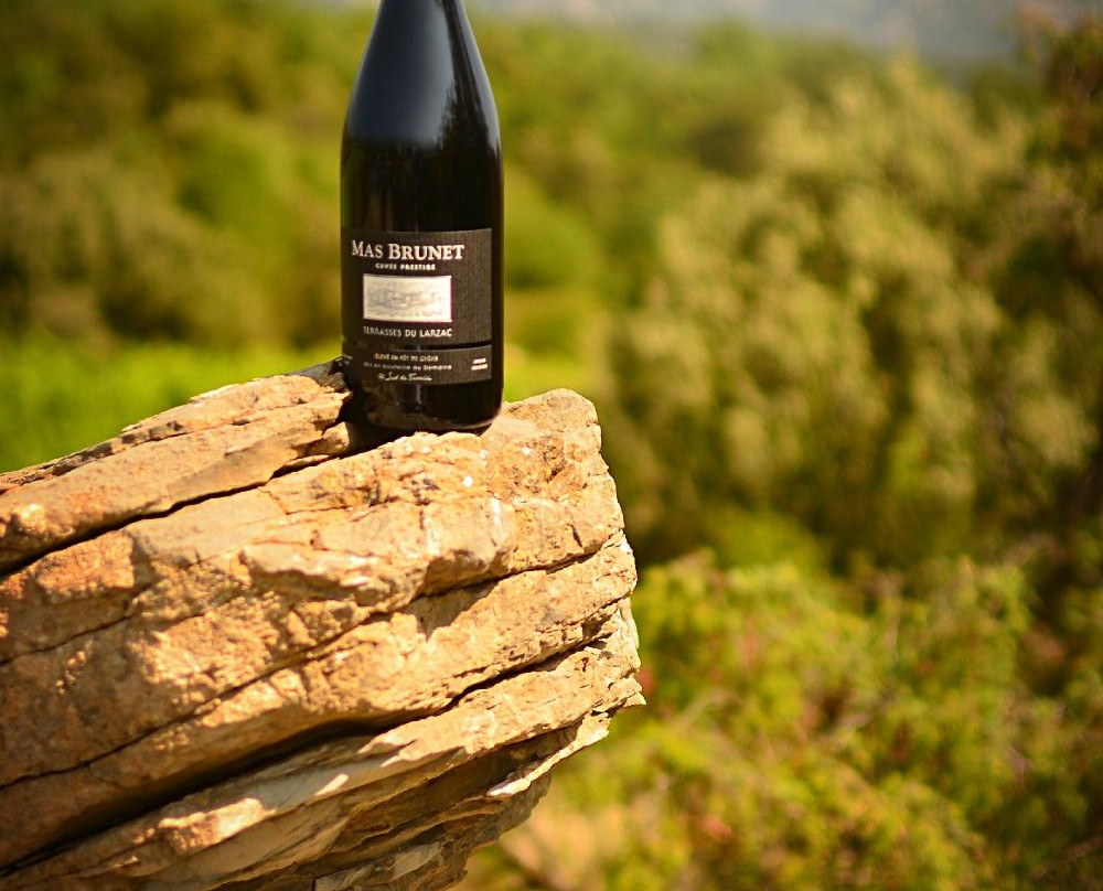 Domaine De Brunet-Causse de la Selle必去景点