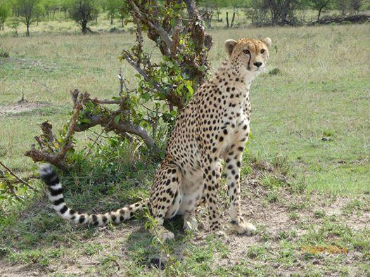 Oltepesi African Adventures-莫西必去景点