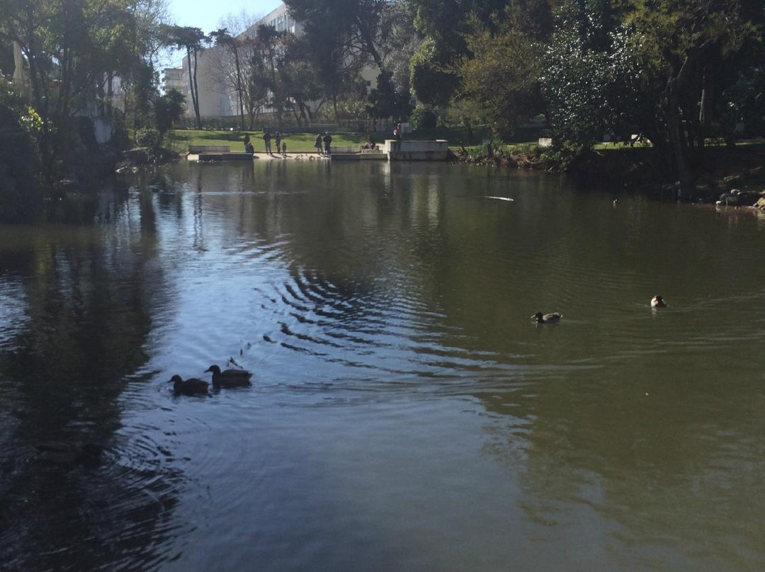 Jardim da Quinta da Alagoa-卡卡维卢斯必去景点