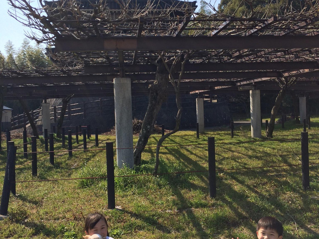 Kisshoji Temple景点图片