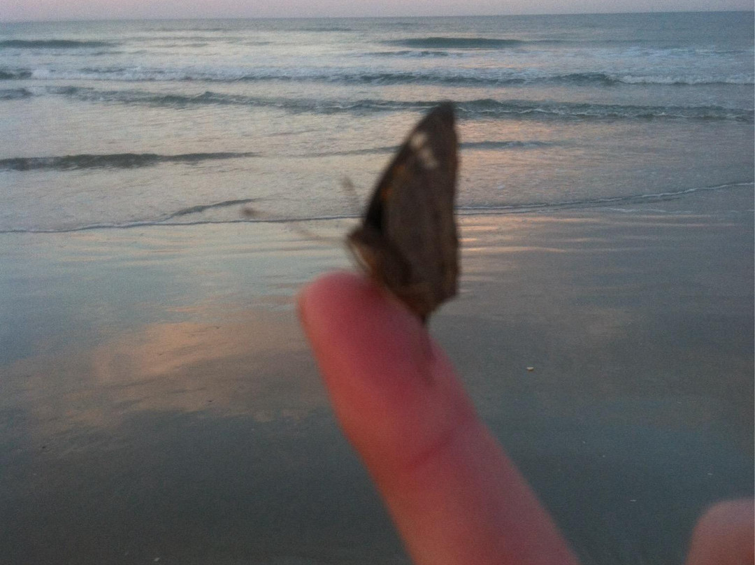 Flagler Beach Municipal Pier-Flagler Beach必去景点