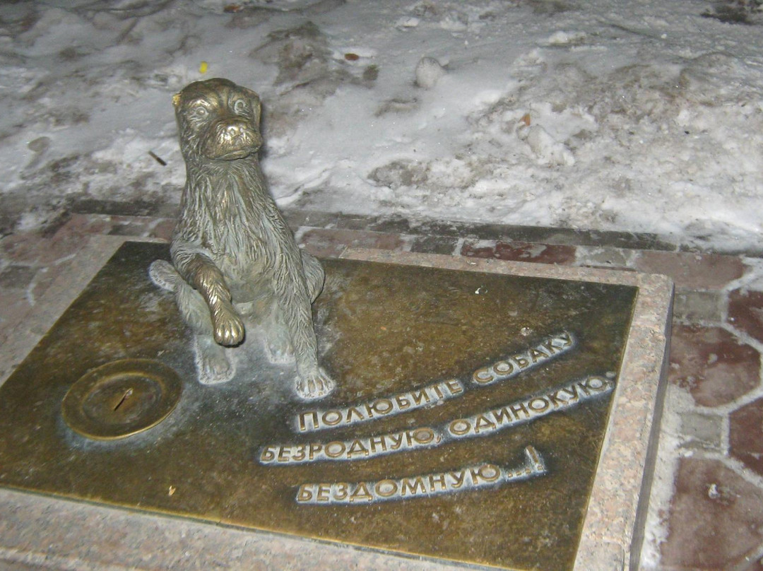 Monument to Homeless Dog景点图片