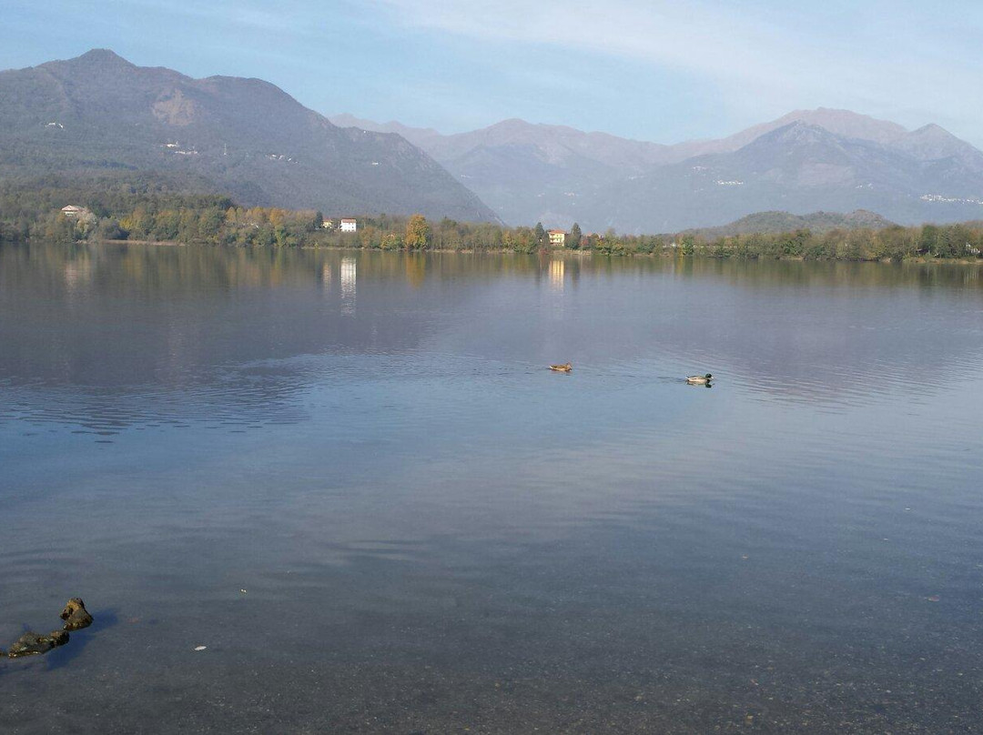 Parco Naturale dei Laghi di Avigliana景点图片