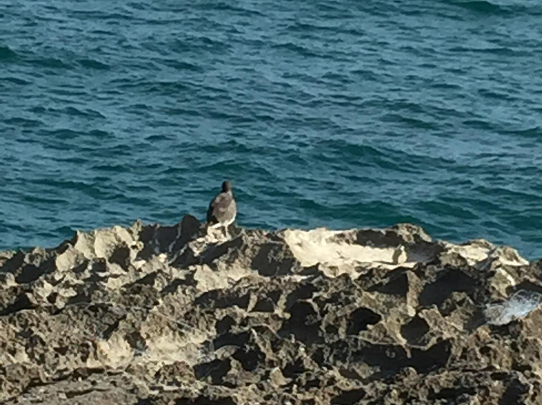 Al Mughsail Beach-塞拉莱必去景点