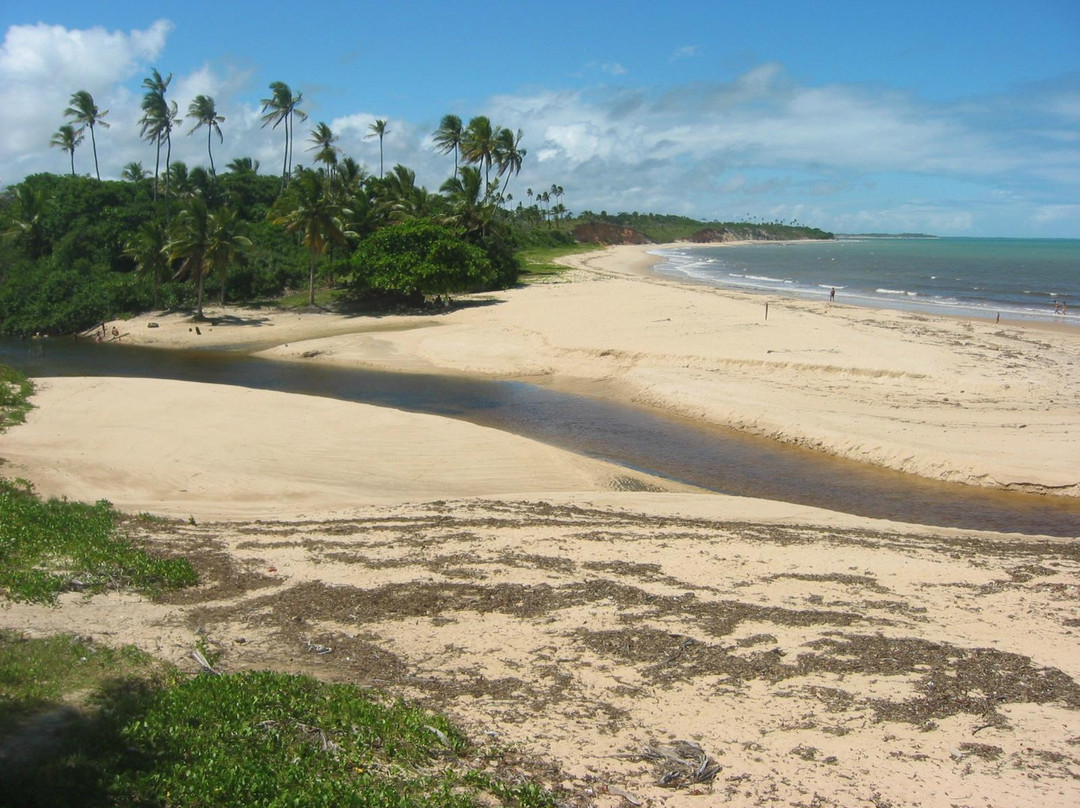 Imbassuaba Beach (Arnaldo)景点图片