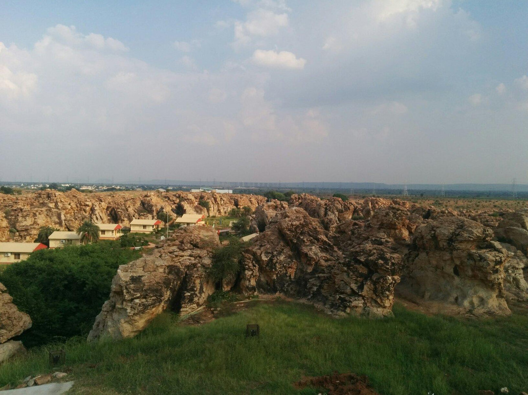 Oravakallu Rock Garden景点图片