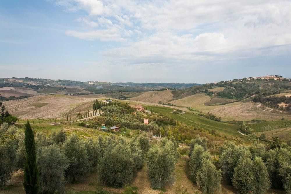 Azienda Agricola Castelvecchio主图