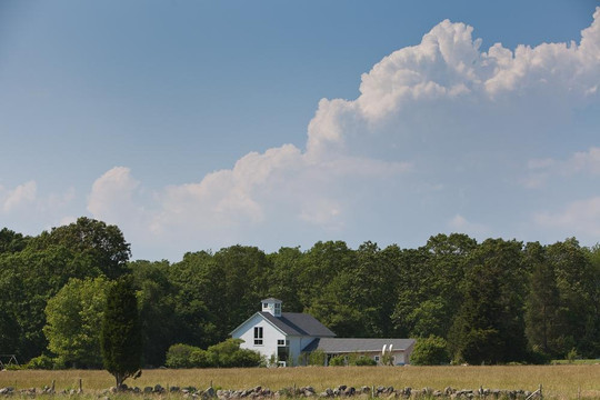 Dedee Shattuck Gallery-Westport必去景点