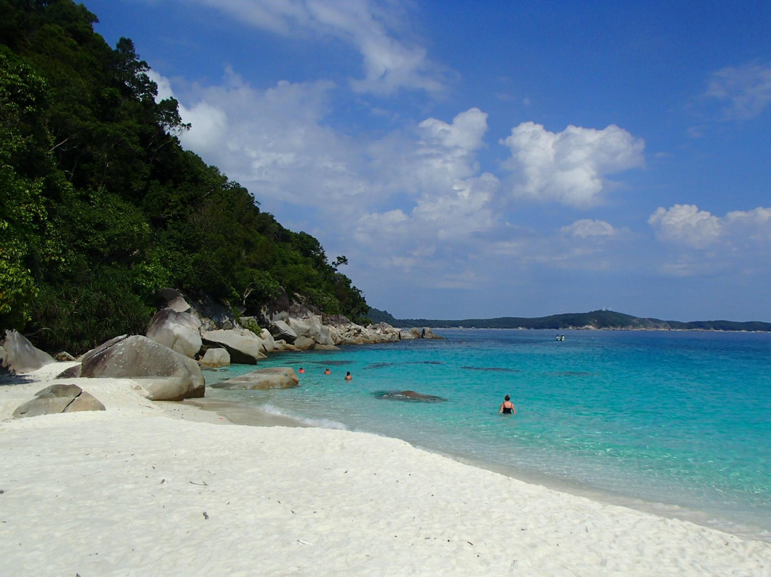 Turtle Sanctuary Beach景点图片