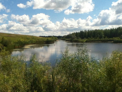 Kilcona Regional Park-温尼伯必去景点