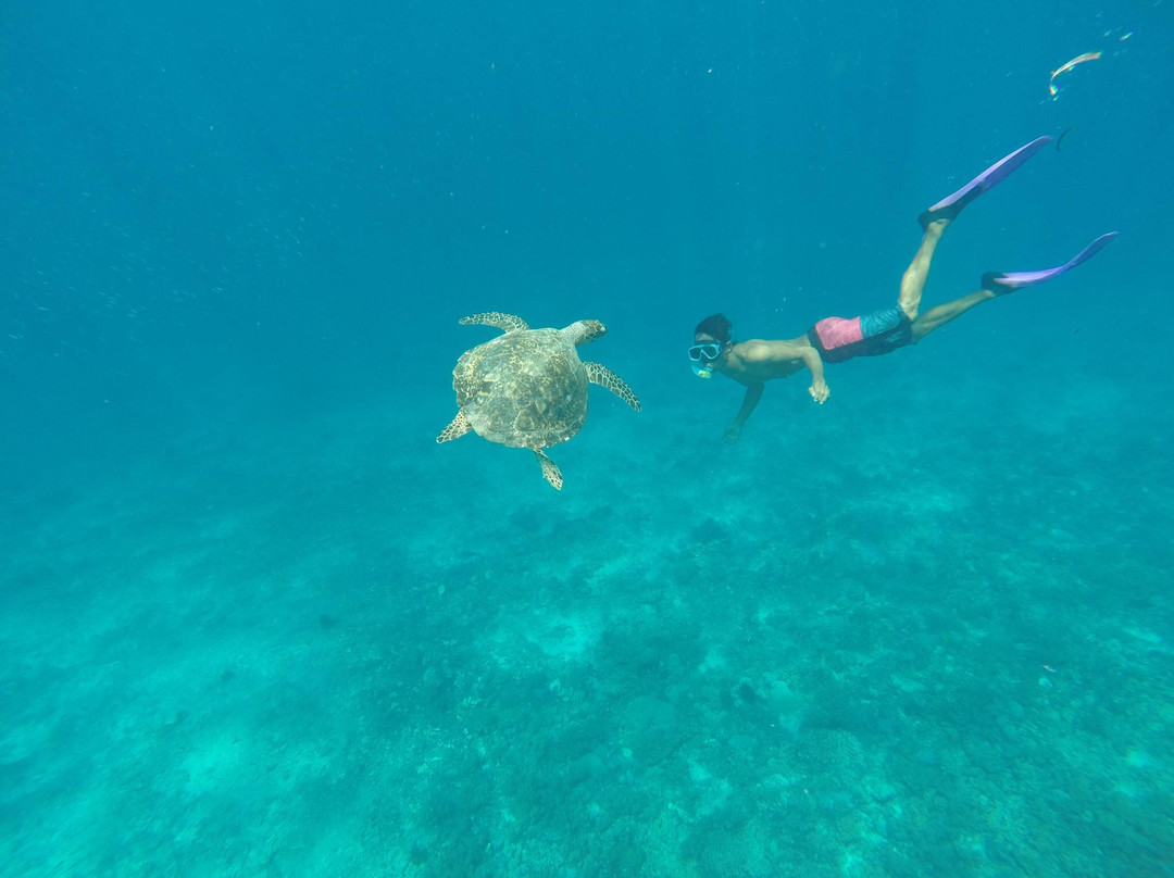 Barracuda Tours Lombok - Day Tours-龙目岛必去景点