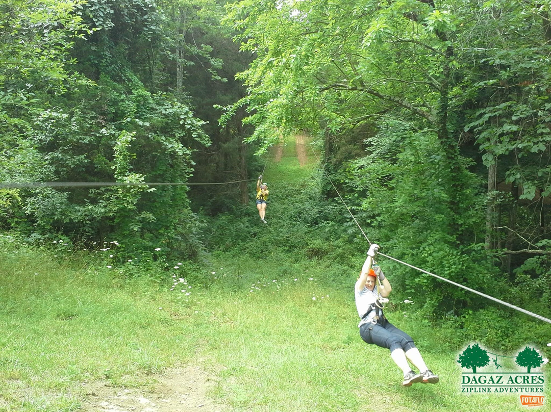 Dagaz Acres Zipline Adventures景点图片