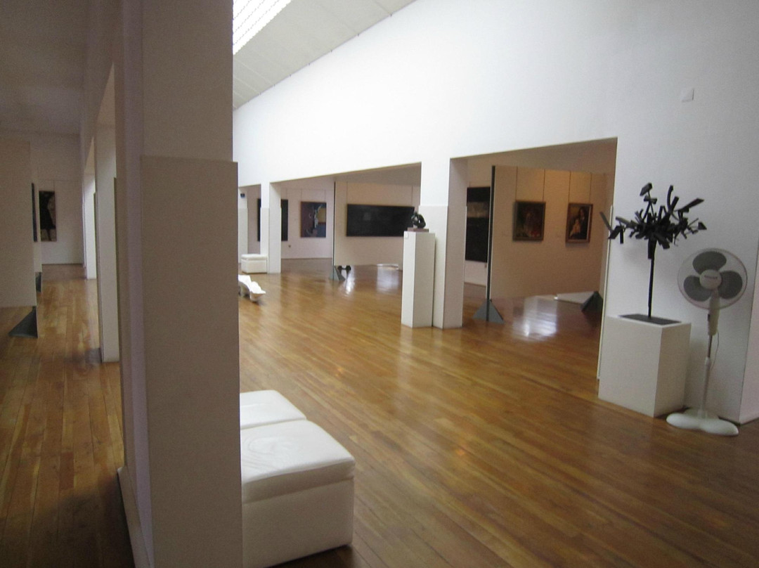 Amadeo De Souza Cardoso Museum景点图片