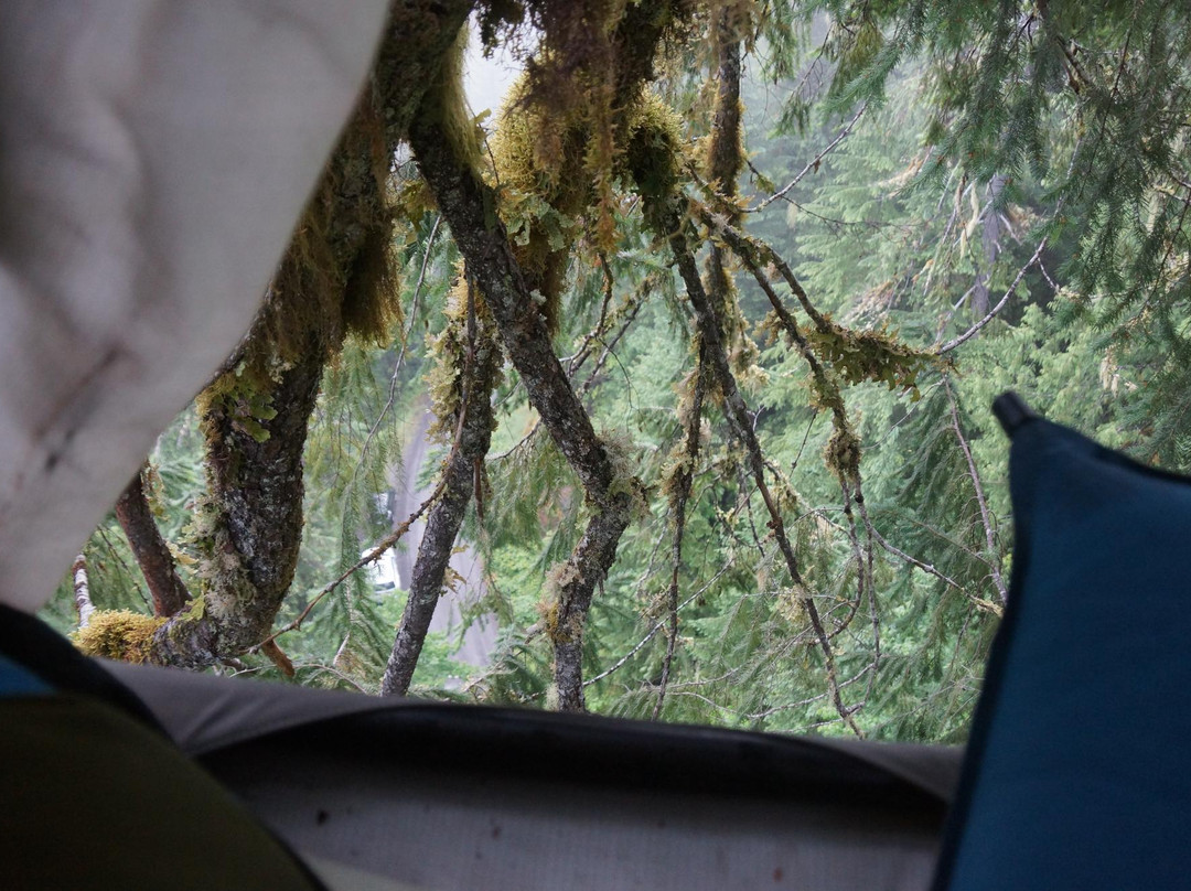 Pacific Tree Climbing Institute-Blue River必去景点