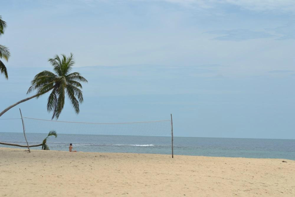 Panama Day Trips- Canal Eco Tours景点图片