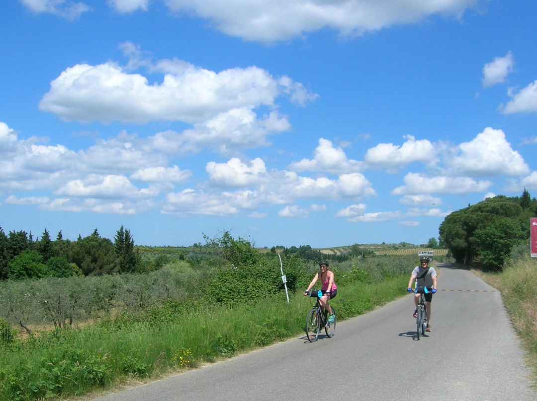 Cycling in Florence景点图片