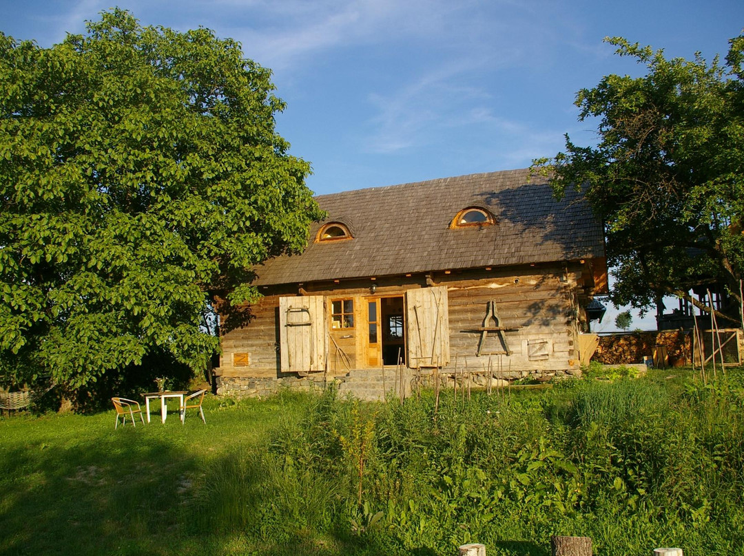 Babou Maramures