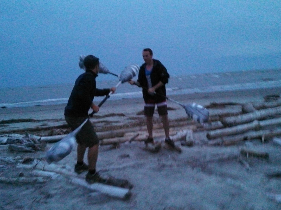 On Purpose Adventures-查尔斯顿必去景点