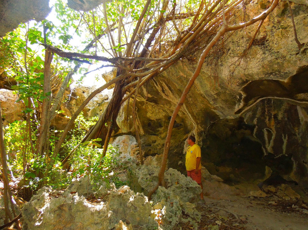 The Bat's Cave-Cayman Brac必去景点