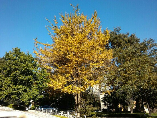 西安植物园-西安市必去景点