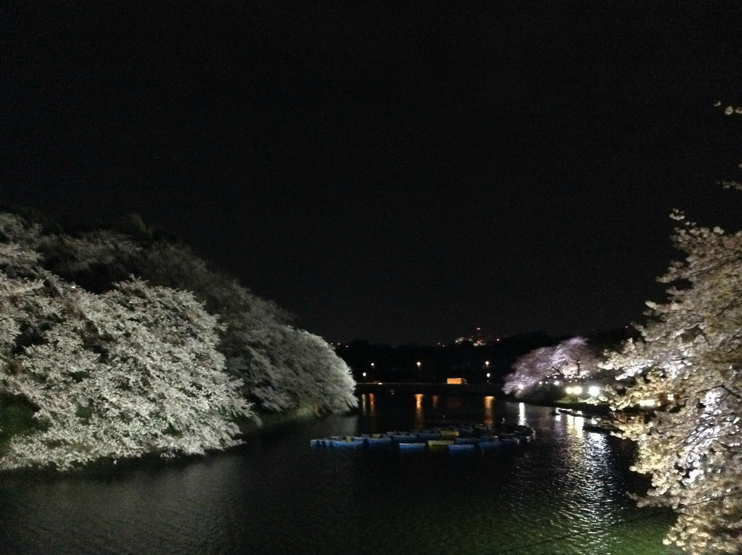 千鸟渊-千代田区必去景点