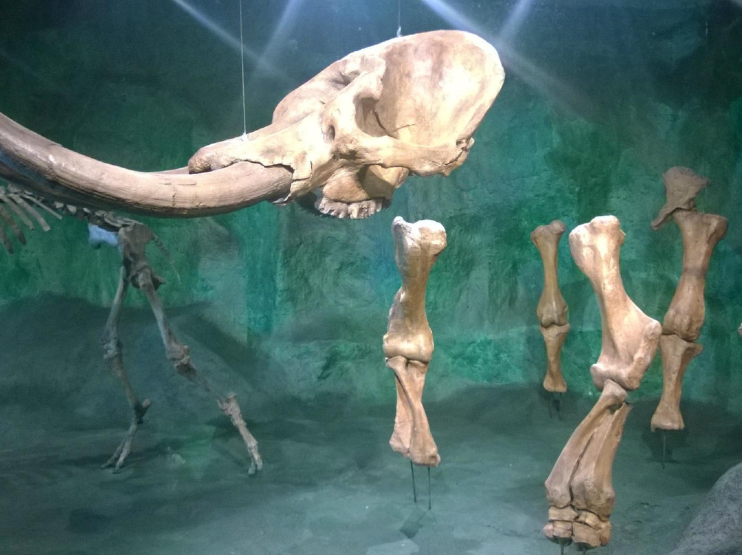 Museu de Ciências Naturais PUC Minas