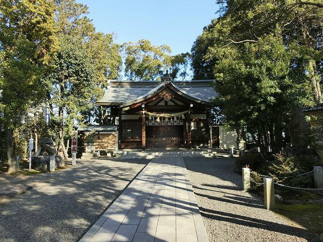 Tagata Jinja景点图片