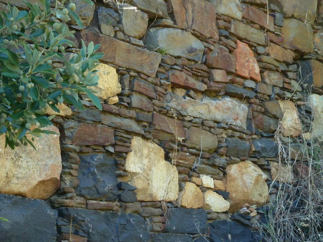 Figure of 8-Below the Surface Tunnel Tours-开普敦中心区必去景点