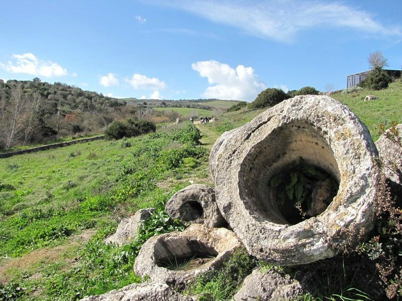 La foresta pietrificata di Martis