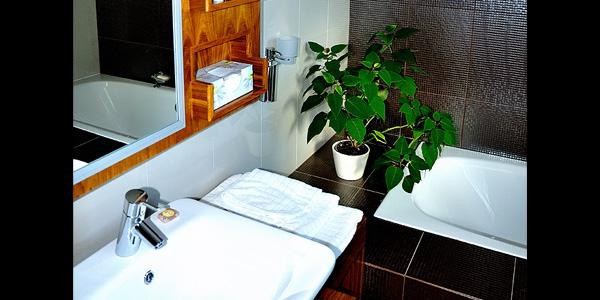 Glass Manor Bed & Breakfast主图